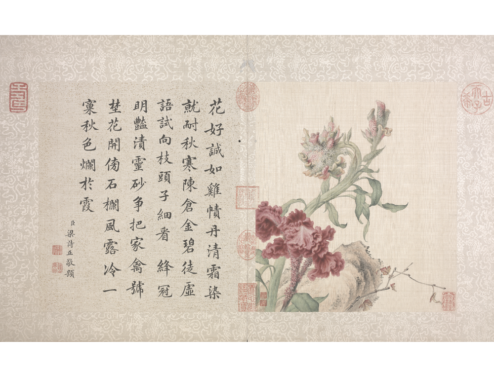 图片[9]-Lang Shining Flowers and Birds Illustrated Books-China Archive